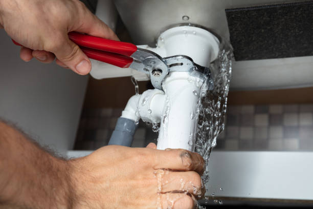 Best Local water damage restoration  in Horseshoe Bend, AR