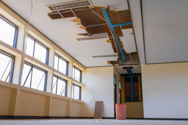 Best Flood damage cleanup  in Horseshoe Bend, AR