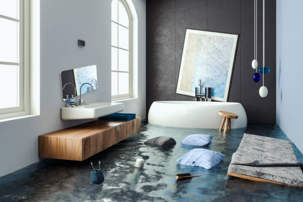 Best Water damage restoration company  in Horseshoe Bend, AR