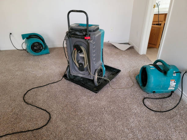 Best Carpet water damage restoration  in Horseshoe Bend, AR