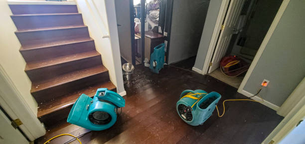 Best Water damage contractors near me  in Horseshoe Bend, AR