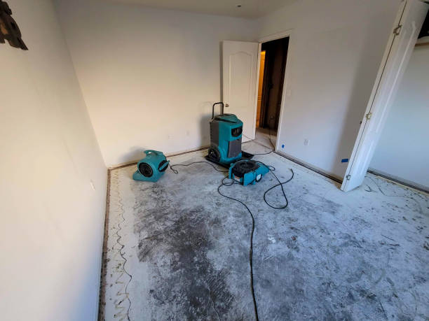 Best Carpet water damage restoration  in Horseshoe Bend, AR