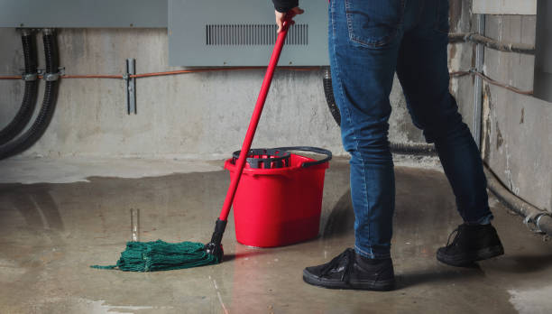Best Mold removal after water damage  in Horseshoe Bend, AR
