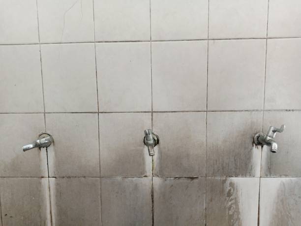 Best Basement water damage restoration  in Horseshoe Bend, AR