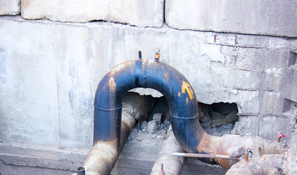 Best Local water damage restoration  in Horseshoe Bend, AR
