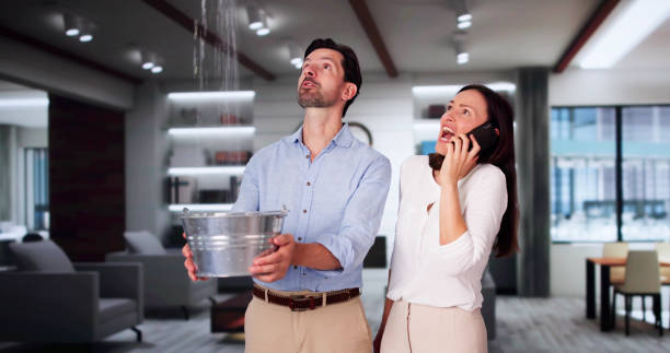 Best Flooded house restoration  in Horseshoe Bend, AR
