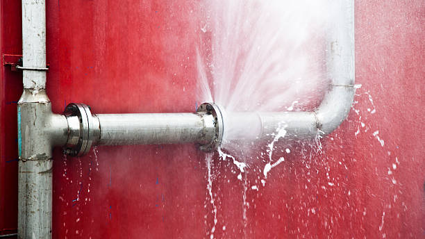 Best Ceiling water damage repair  in Horseshoe Bend, AR