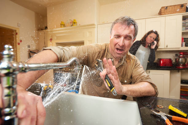 Best Professional water damage repair  in Horseshoe Bend, AR